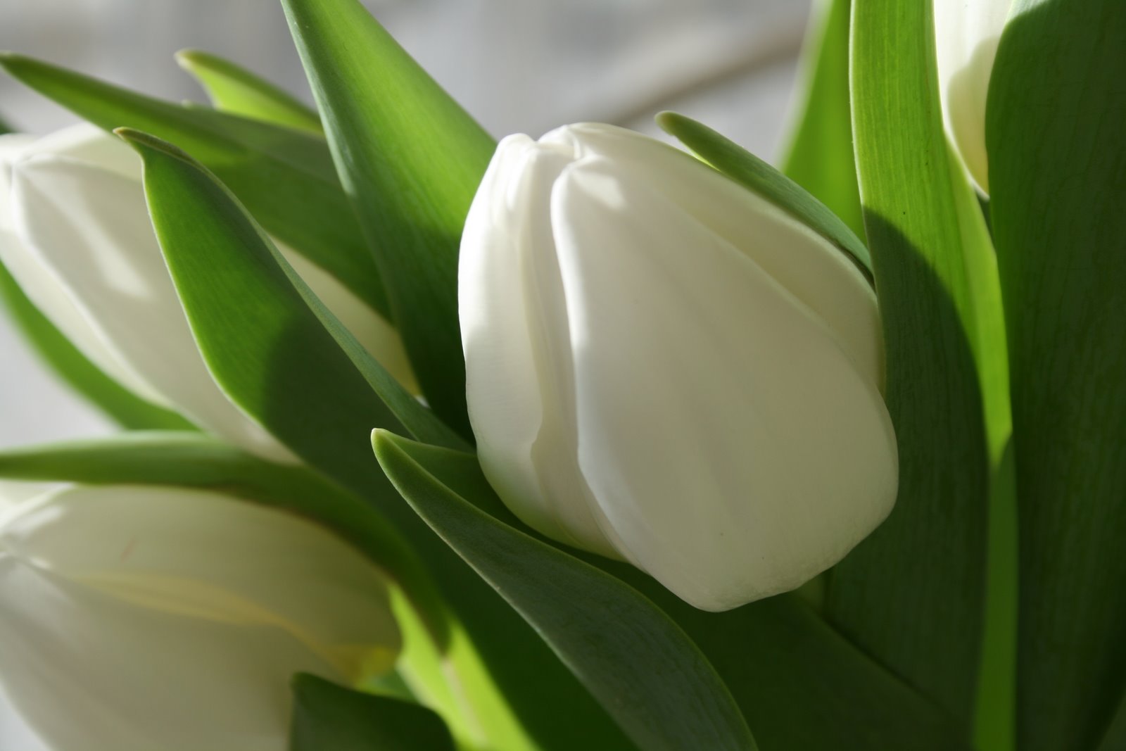 [IMG_8948-740691.jpg]