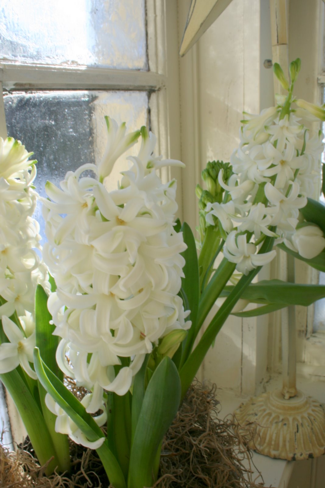 [IMG_8967-742469.jpg]