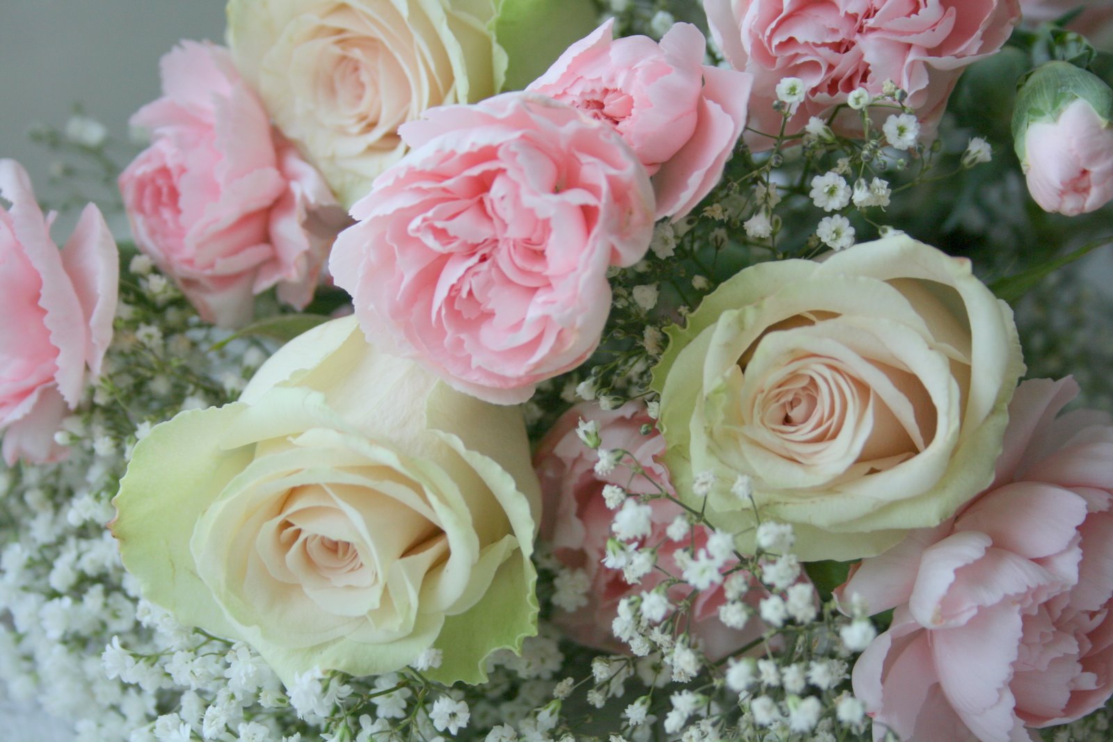 [IMG_0661-725956.jpg]