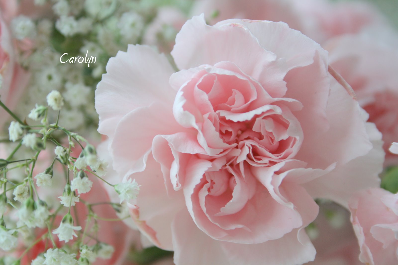 [IMG_1290-752852.jpg]