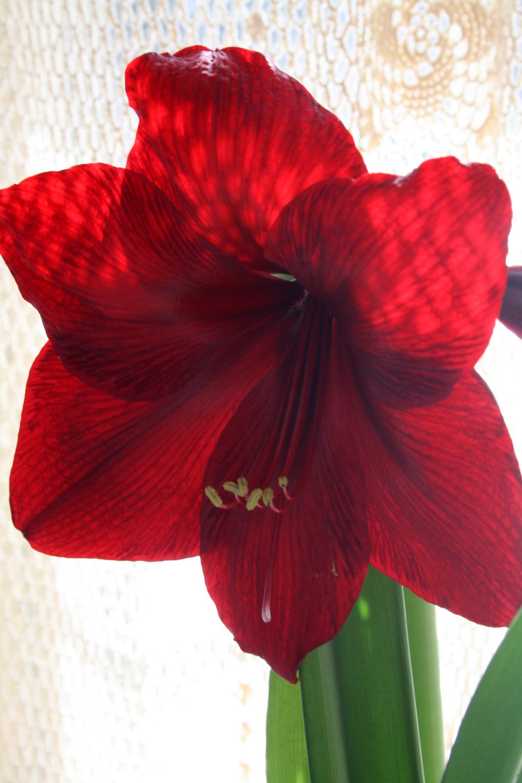 [IMG_1524-717424.jpg]