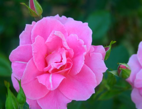 [IMG_8390-735857.JPG]