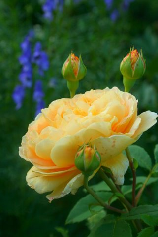 [IMG_8393-732594.JPG]