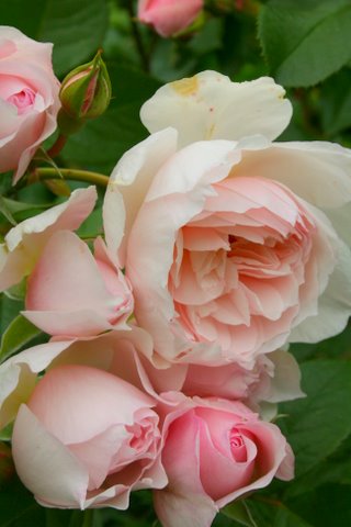 [IMG_6466-750429.jpg]