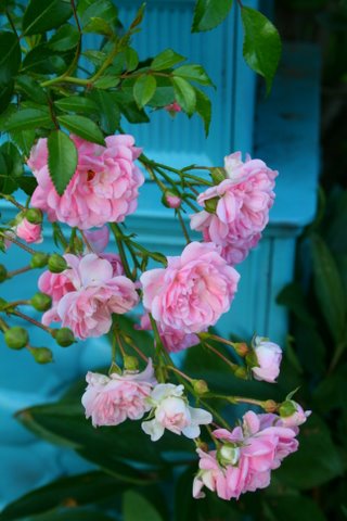 [IMG_7473-753633.jpg]