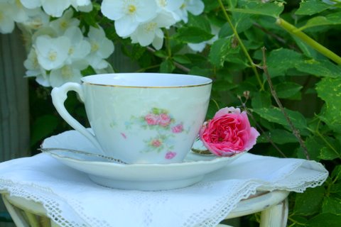 [IMG_7781-789667.jpg]