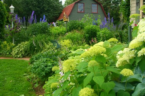 [IMG_8661-720807.jpg]