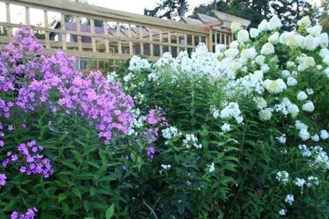 [IMG_5356-750430.JPG]