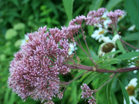 [IMG_5364-753381.JPG]