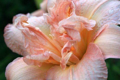 [IMG_5422-760067.JPG]