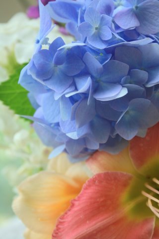 [IMG_6017-776368.jpg]