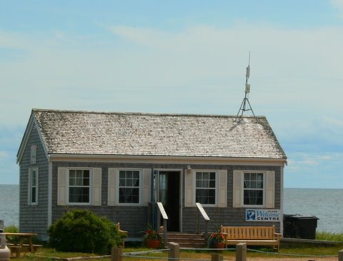 [IMG_7966-716418.jpg]