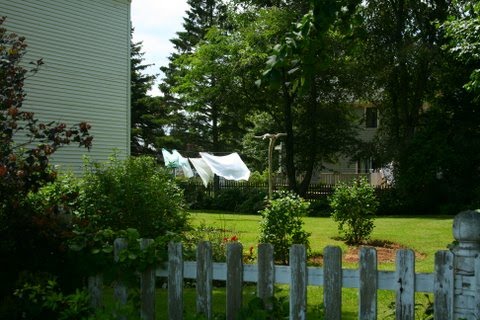 [IMG_7949-729793.jpg]