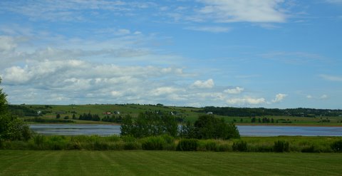 [IMG_7946-740167.jpg]