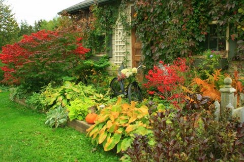 [IMG_9233-782474.JPG]