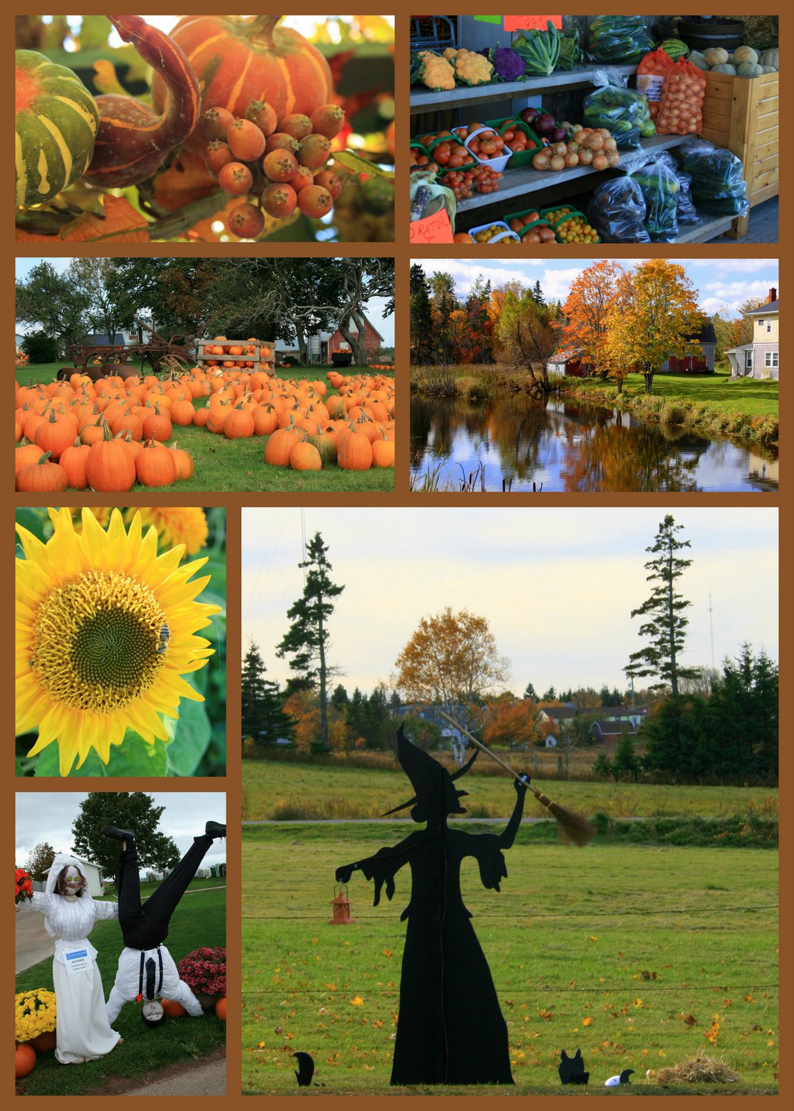 [fall+autumn+joy.jpg]