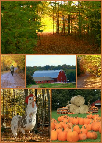 [2009-10-01-1459-571-774875.jpg]