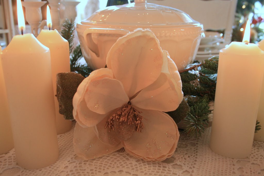 [IMG_5245-750155.jpg]