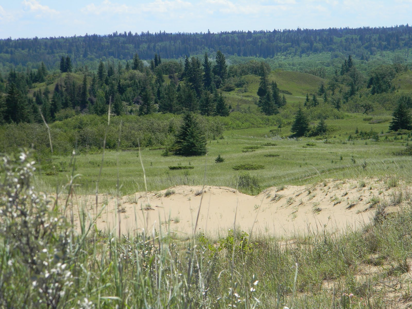 Have Kids, Will Travel Spruce Woods Provincial Park, near Brandon MB