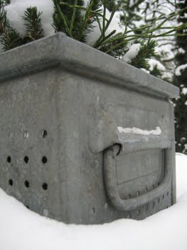 [Zinkkiste+Winter.jpg]