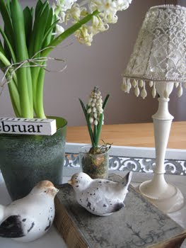 [Tablett-Januar.JPG]