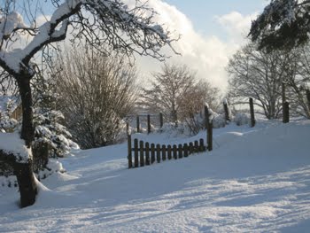 [Schnee_Holztor.JPG]