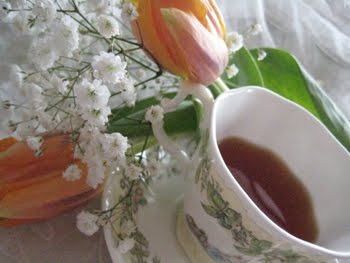 [Tee_Frühlingganz.JPG]