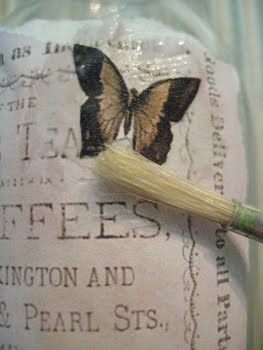 [Glas_butterfly.JPG]