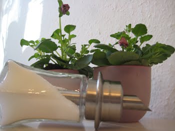 [Frühstück_Zuckstreuer.JPG]