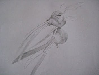 [Zwiebelzeichnung2.JPG]