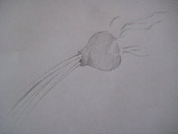 [Zwiebelzeichnung1.JPG]