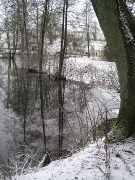 [Winterteich_1.jpg]
