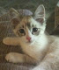 My photo