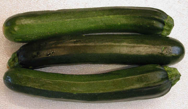 [zucchini.jpg]