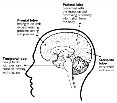 Research papers on memory function