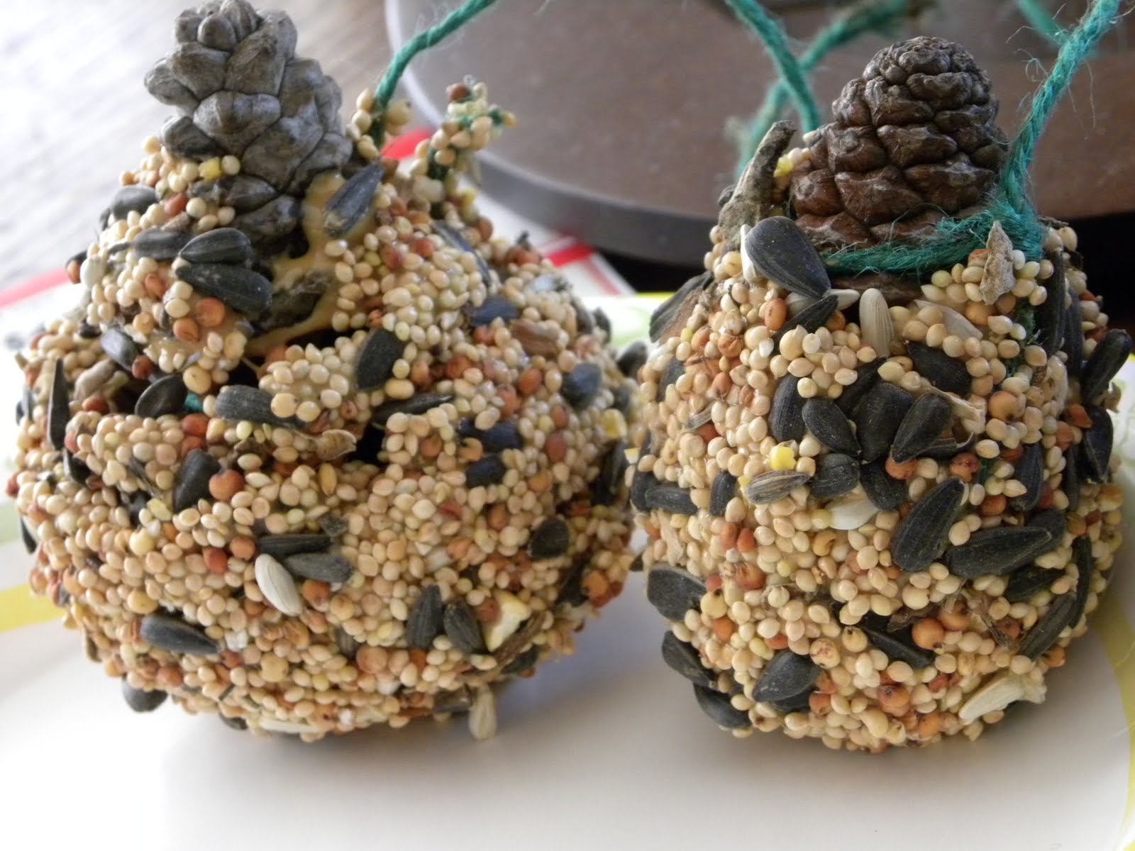 sassy scarlett Pine Cone Bird Feeders