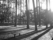 Four Corners Park in Jacksonville Florida