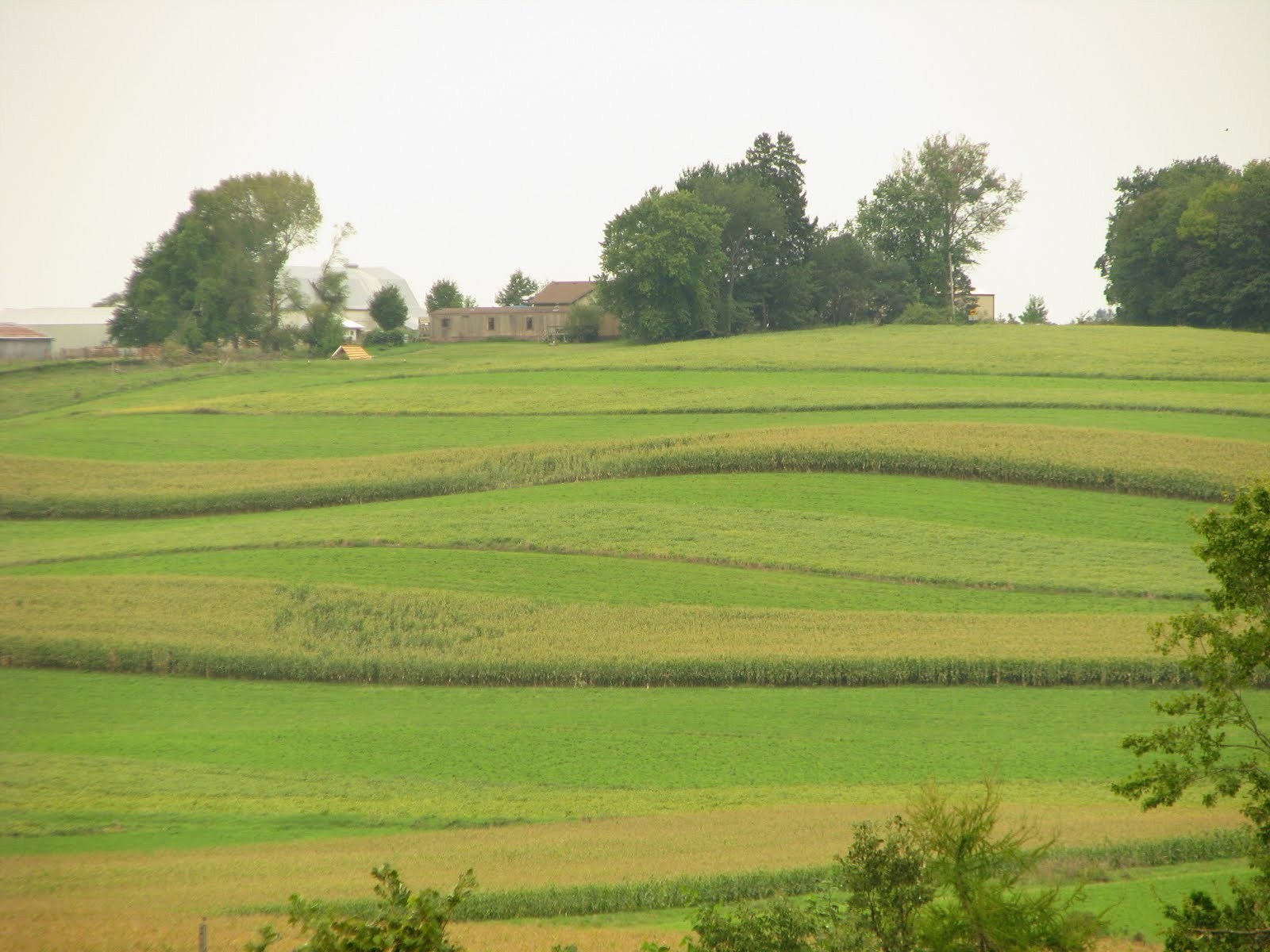 farm+Labor+DAy+weekend+128.JPG