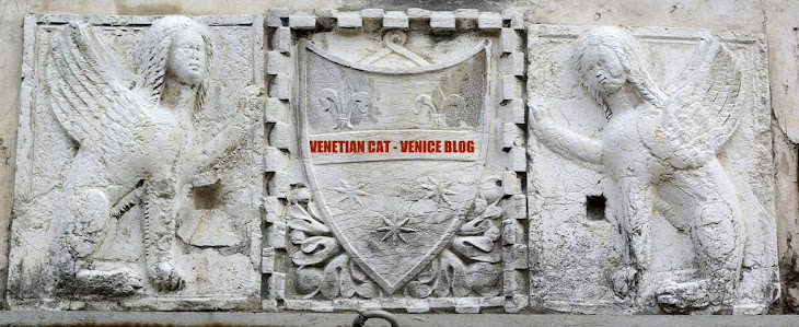 Venetian Cat Bauer - The Venice Blog
