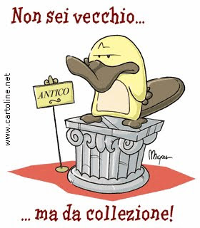 Frasi Buon Compleanno Suocera