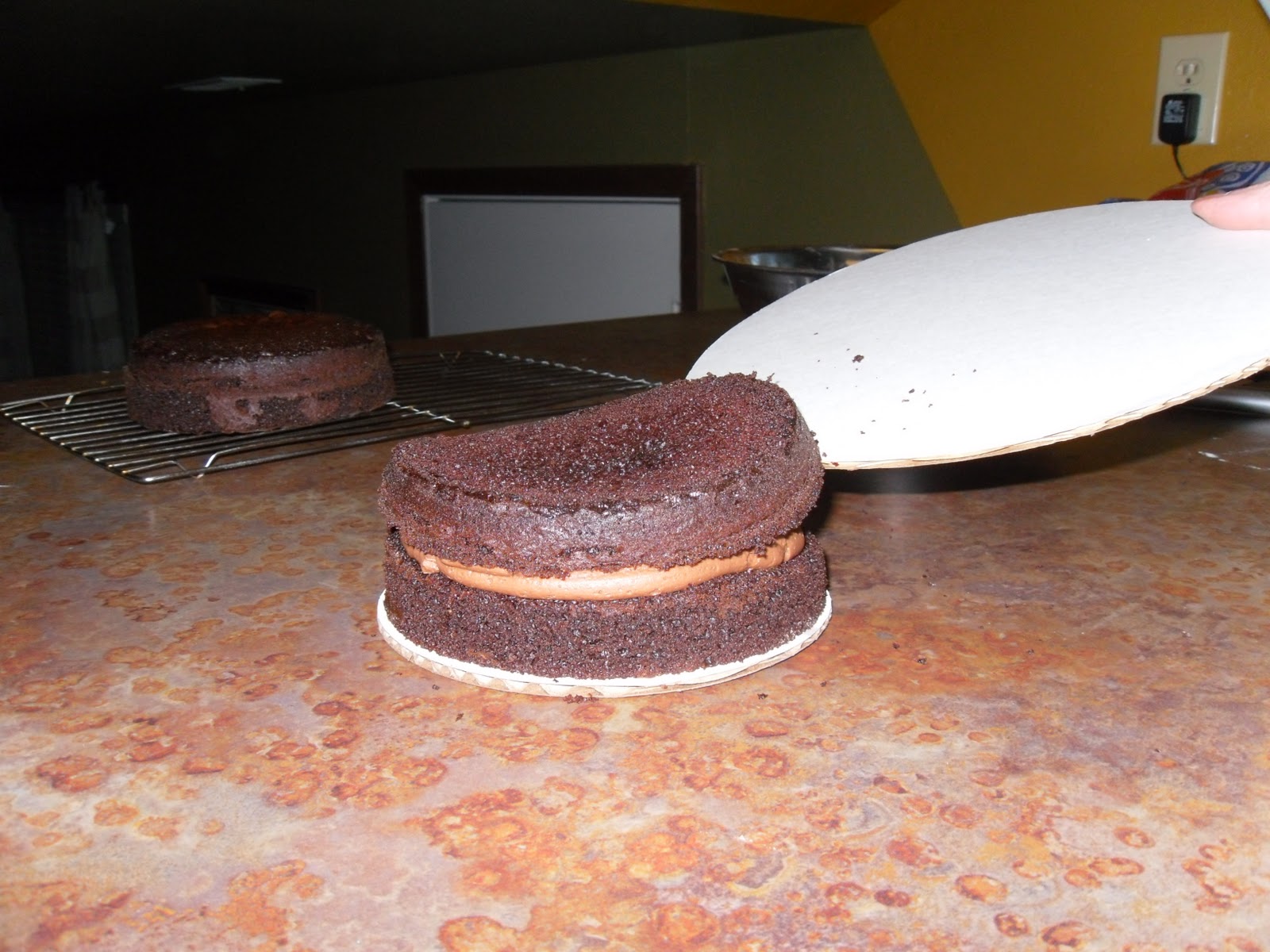 Cake Concepts by Cathy How to fill a cake