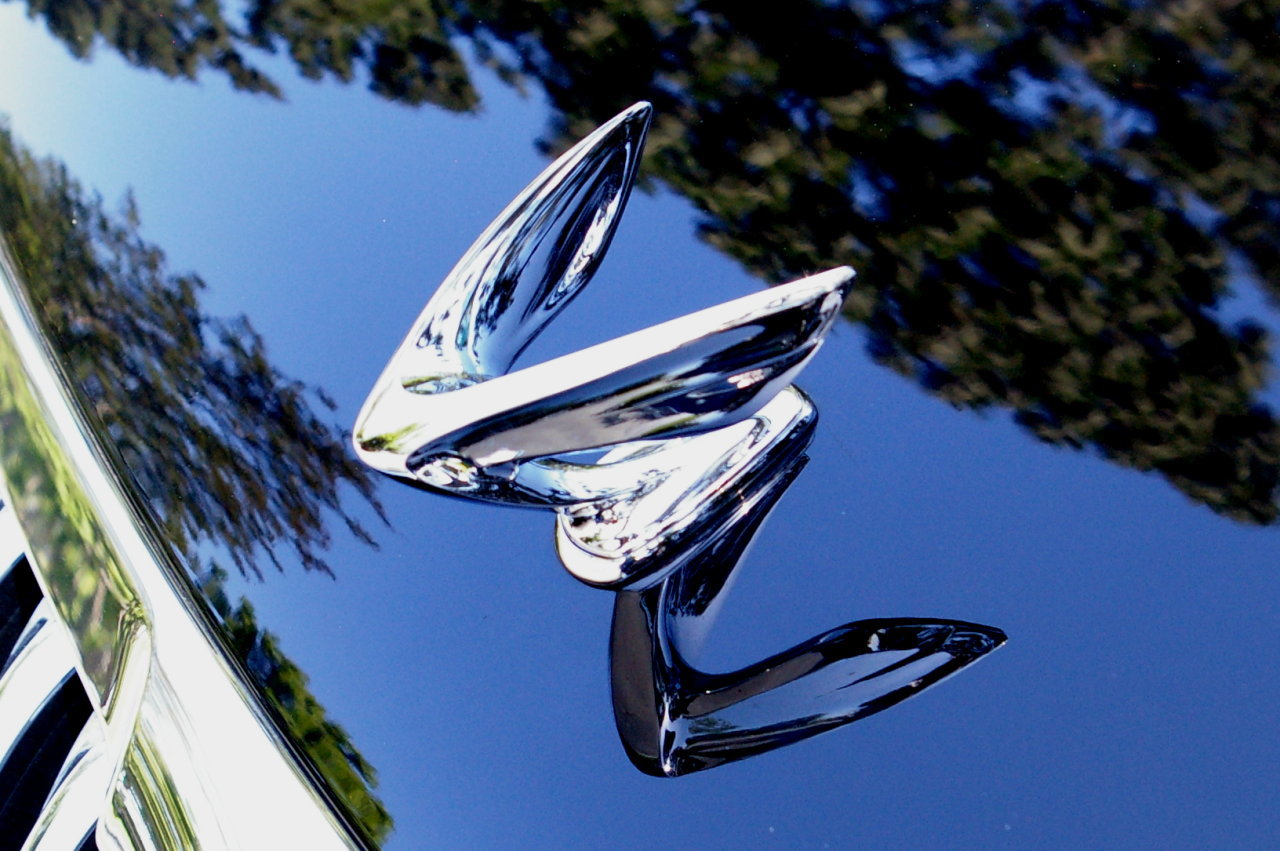 Машина bird. Hyundai Equus Emblem. Хендай Экус значок на капот. Hyundai Equus с птичкой на капоте. Машина с крыльями.