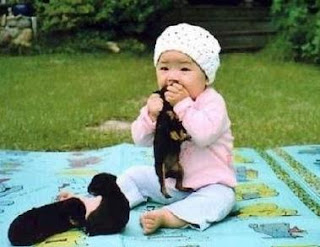 http://1.bp.blogspot.com/_Ctz_Tqv7Do8/Rmnhy66maKI/AAAAAAAAAeg/ezt9-Psizvc/s400/funny-pictures-babies-eat-puppies-0ah.jpg