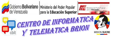 CENTRO DE INFORMATICA Y TELEMATICA BRION