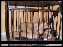 Dog sleep in a cage.