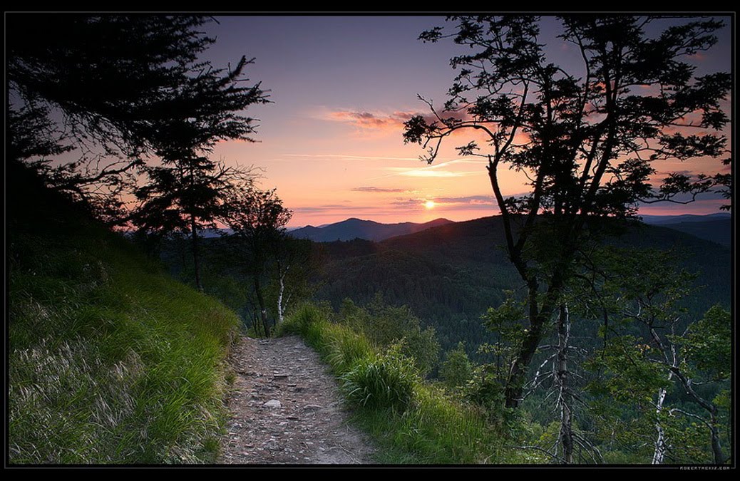 [105454883_-709791.jpg]