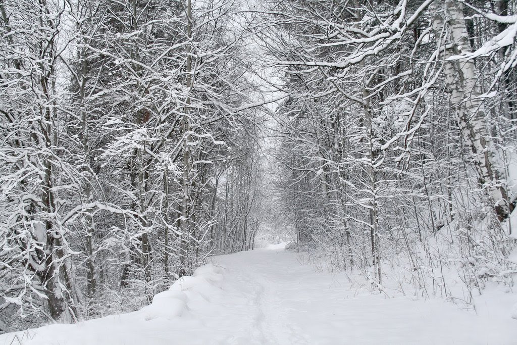 [follow_me-789143.jpg]