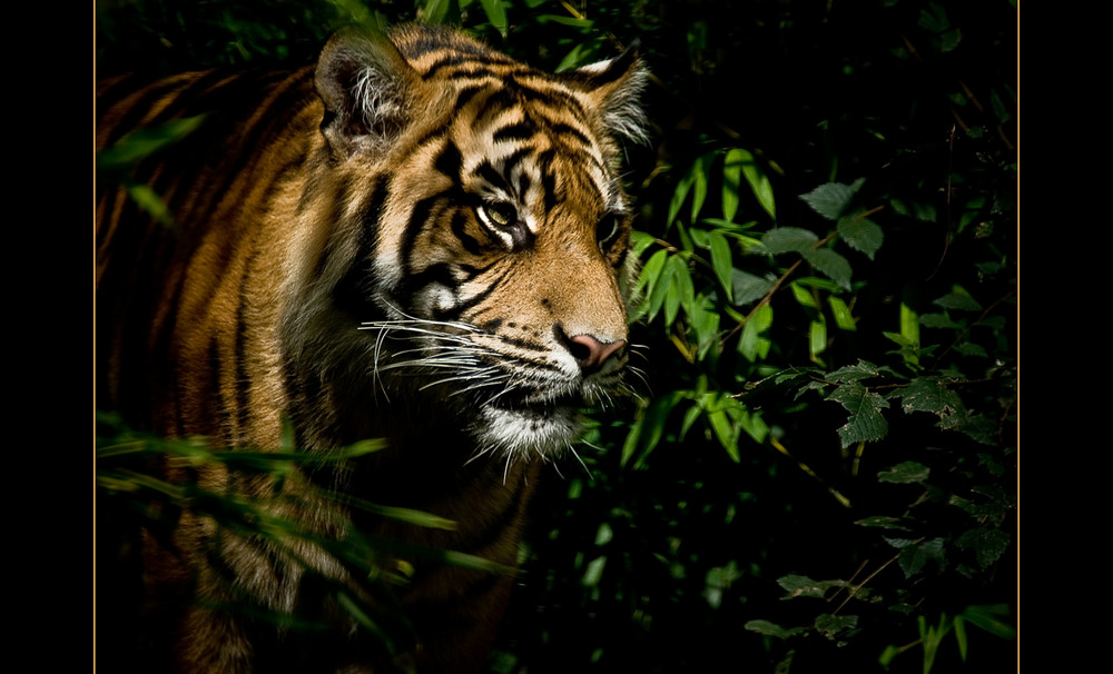 [14477693-779735.jpg]