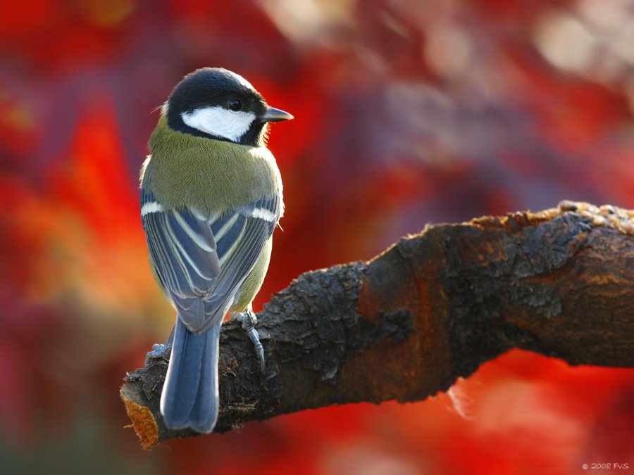 [14909305-781240.jpg]