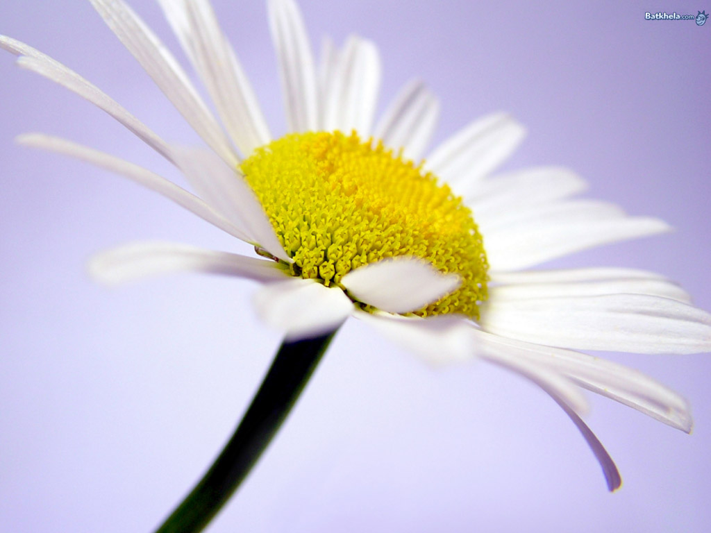 [pic-4136-730540.jpg]